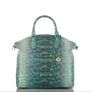 ISO Brahmin Sandestin